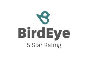 BirdEye