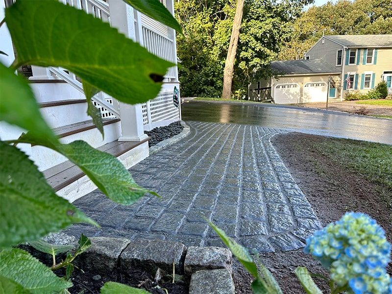 A brick walkway leading to a house with a blue flower in the foreground.