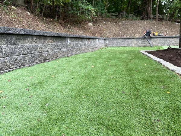 A lush green lawn with a stone wall in the background.