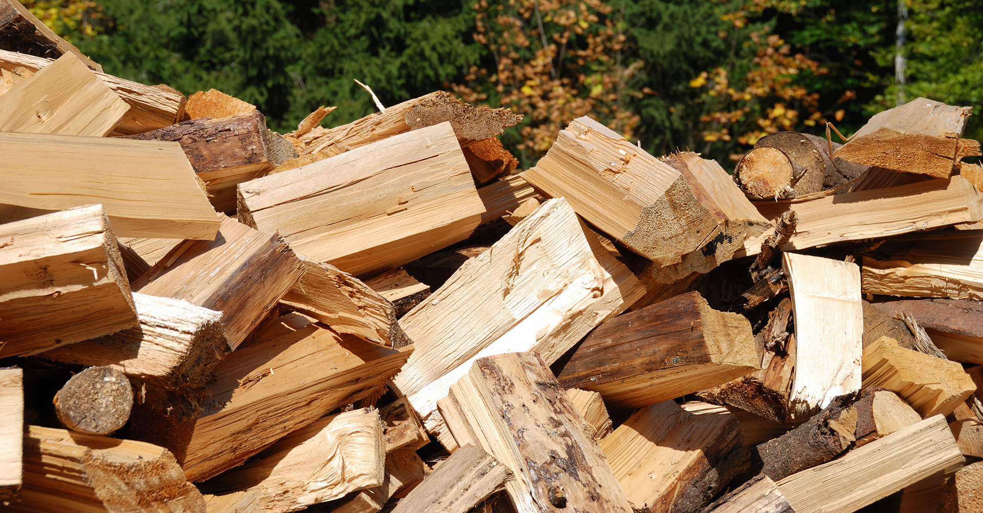 Firewood