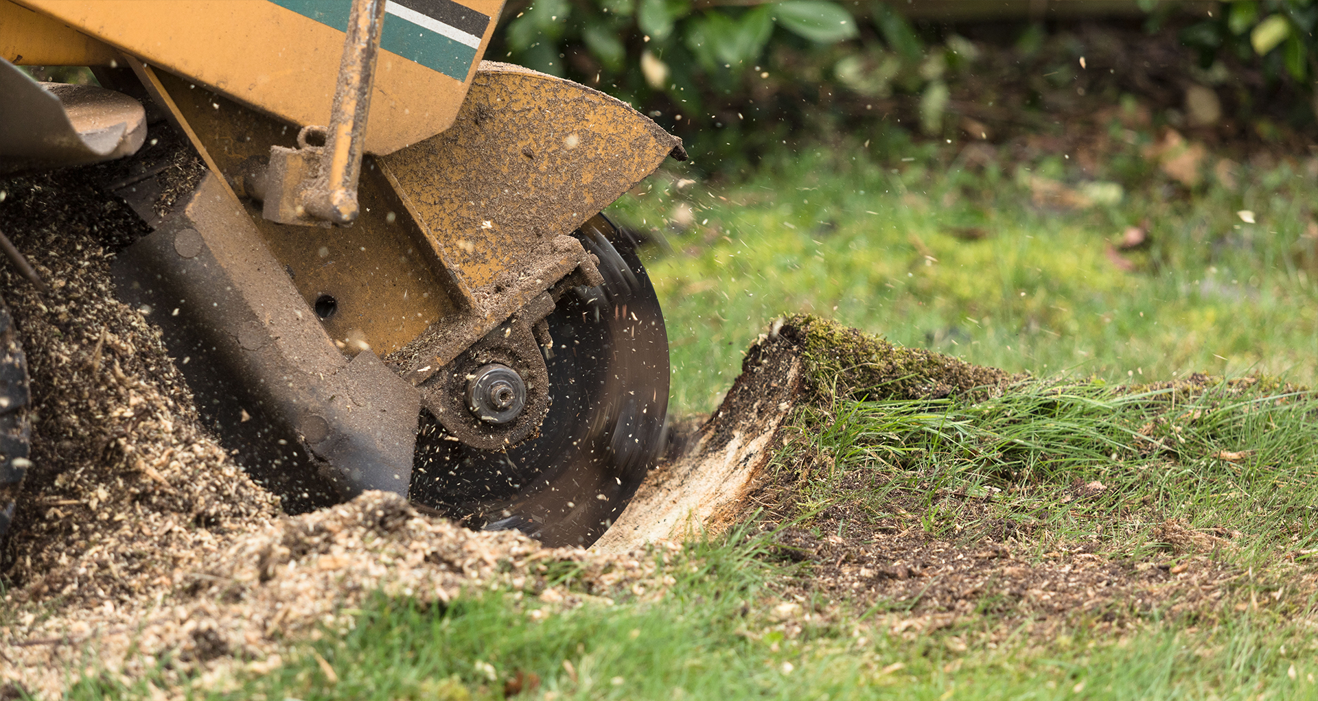 Stump Grinding