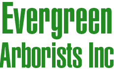 Evergreen Arborists Inc Logo