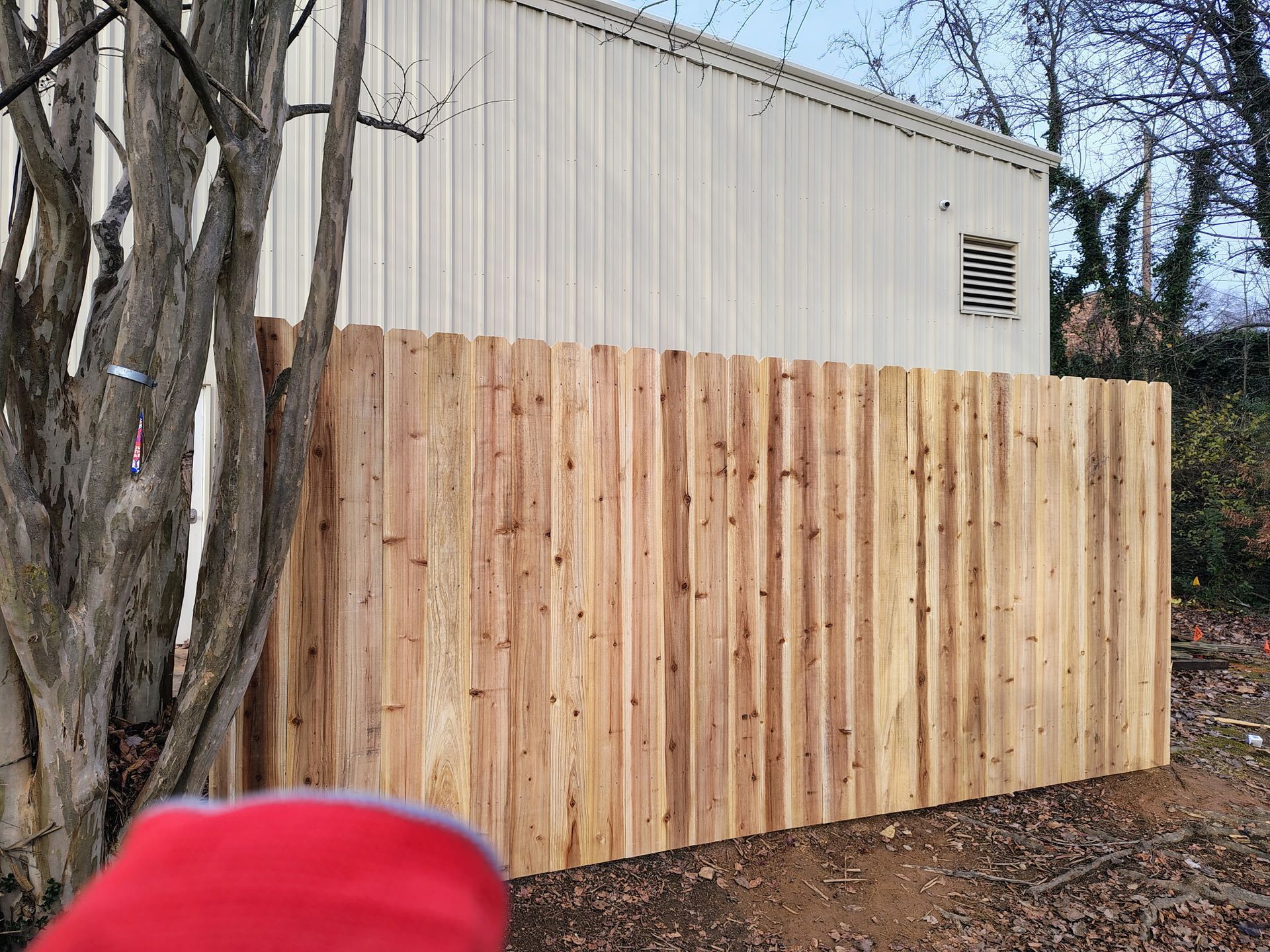 Wooden fence in front of a light-colored building, tree on the left, foliage on the right.