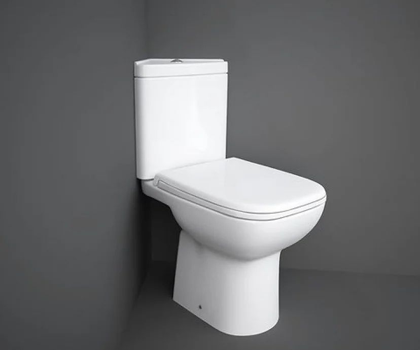 A white toilet is sitting in a corner of a bathroom