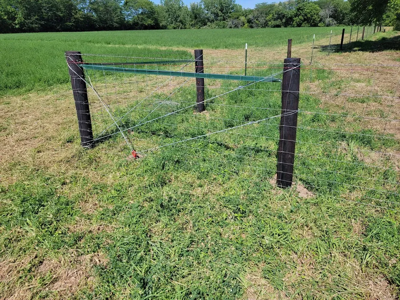 Fence posts with chain and green fencing in a grassy field.