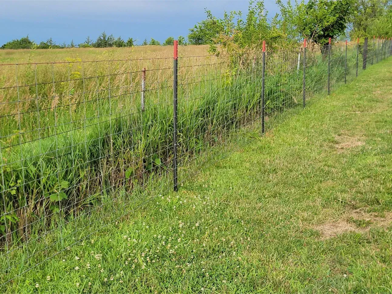 A fence with red-topped posts separates grassy areas and a ditch.
