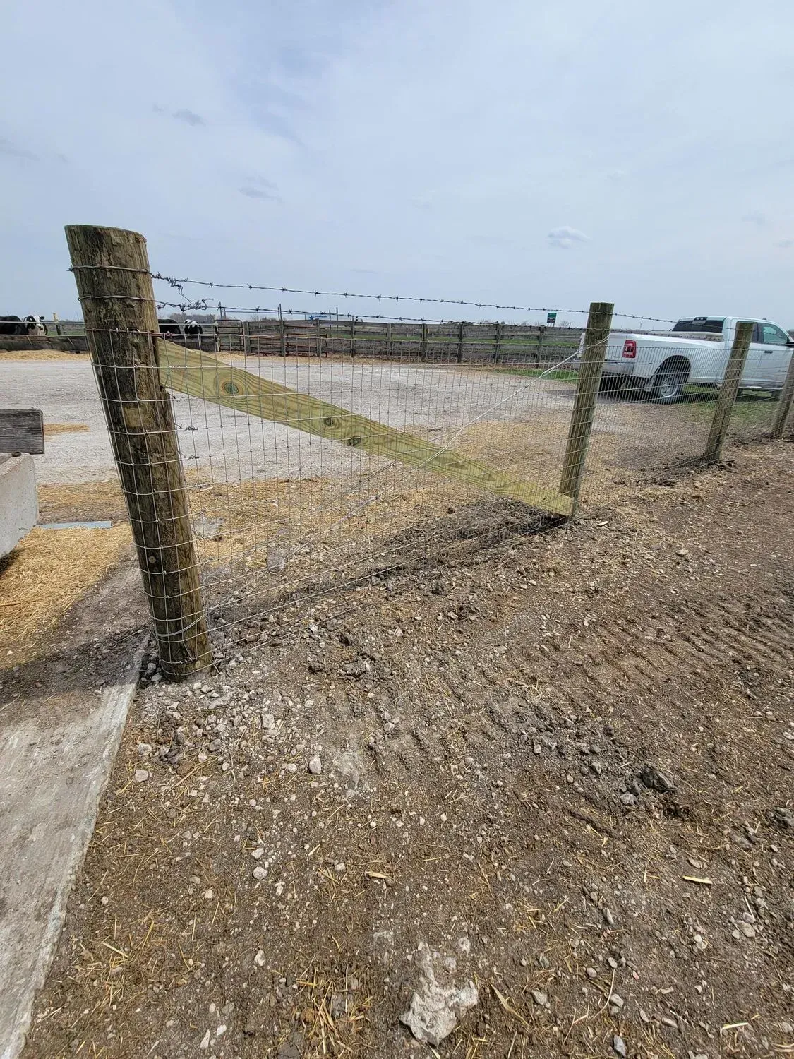 A weathered fence with leaning wooden posts and wire. A pickup truck is visible in the background.