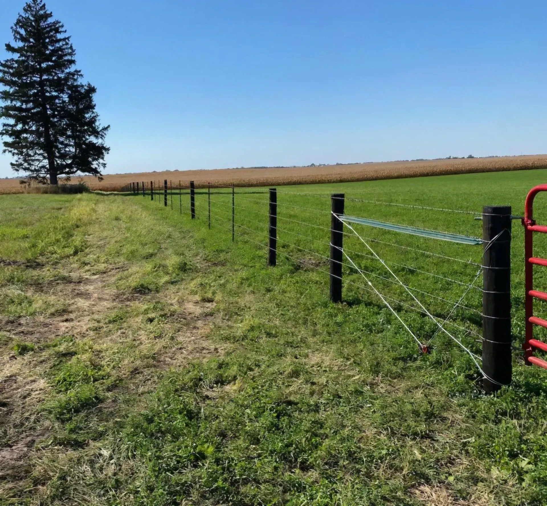 Fence with black posts, barbed wire, and a red gate in a grassy field next to crops under a blue sky.