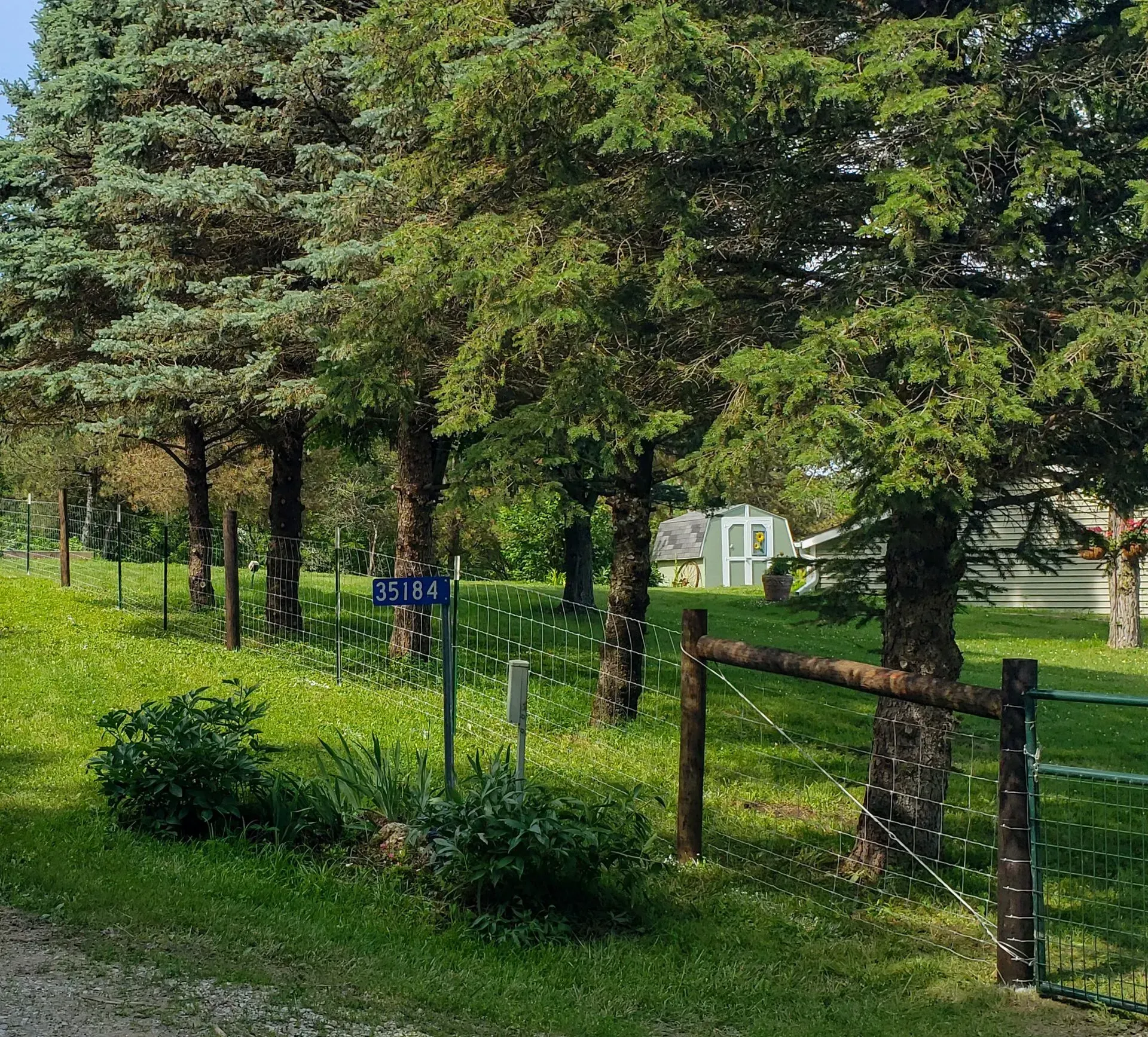 Lush green trees line a grassy yard with a street sign. A small, white building is visible in the background.