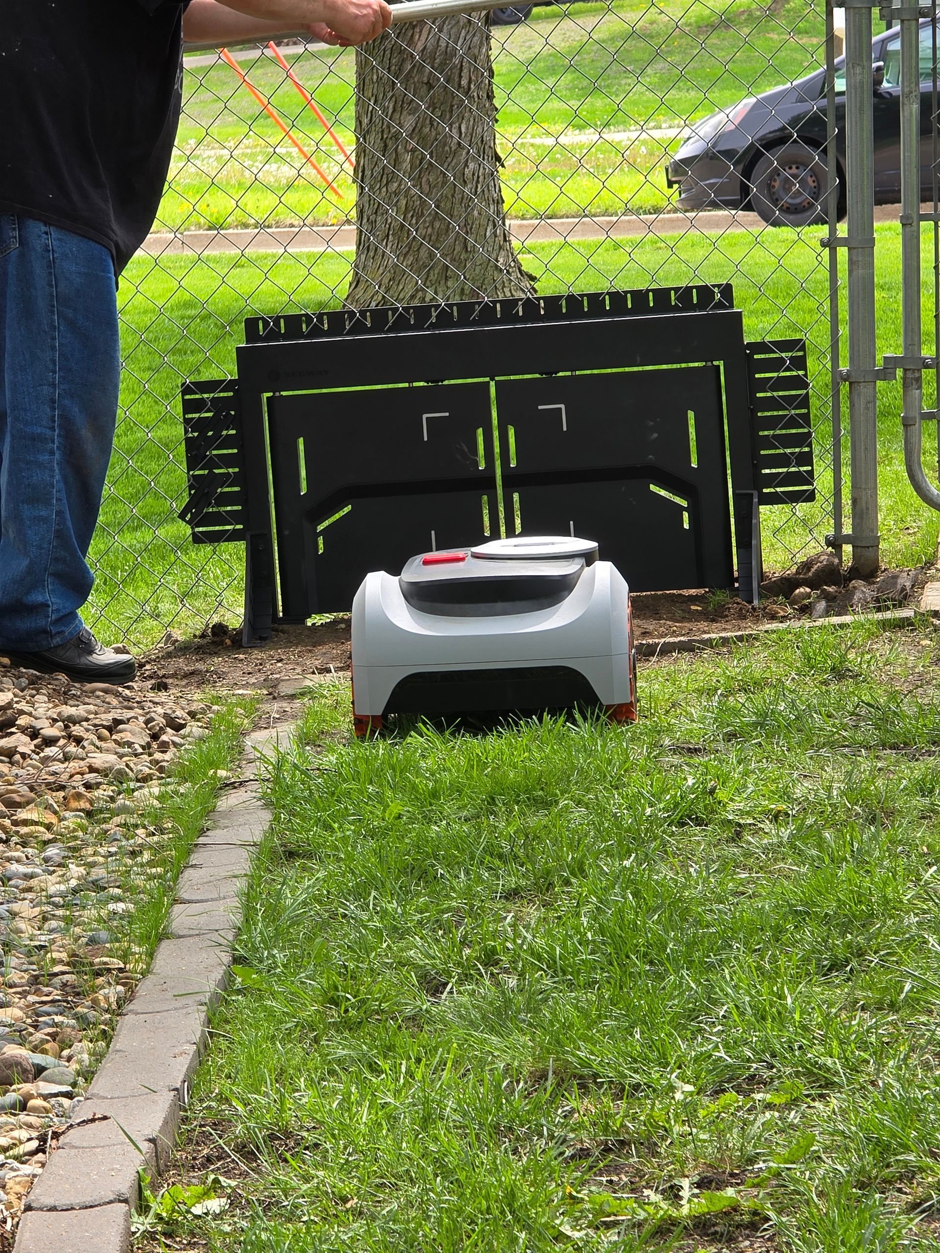 Small white robot lawn mower in a backyard near a black training gate and a tree.