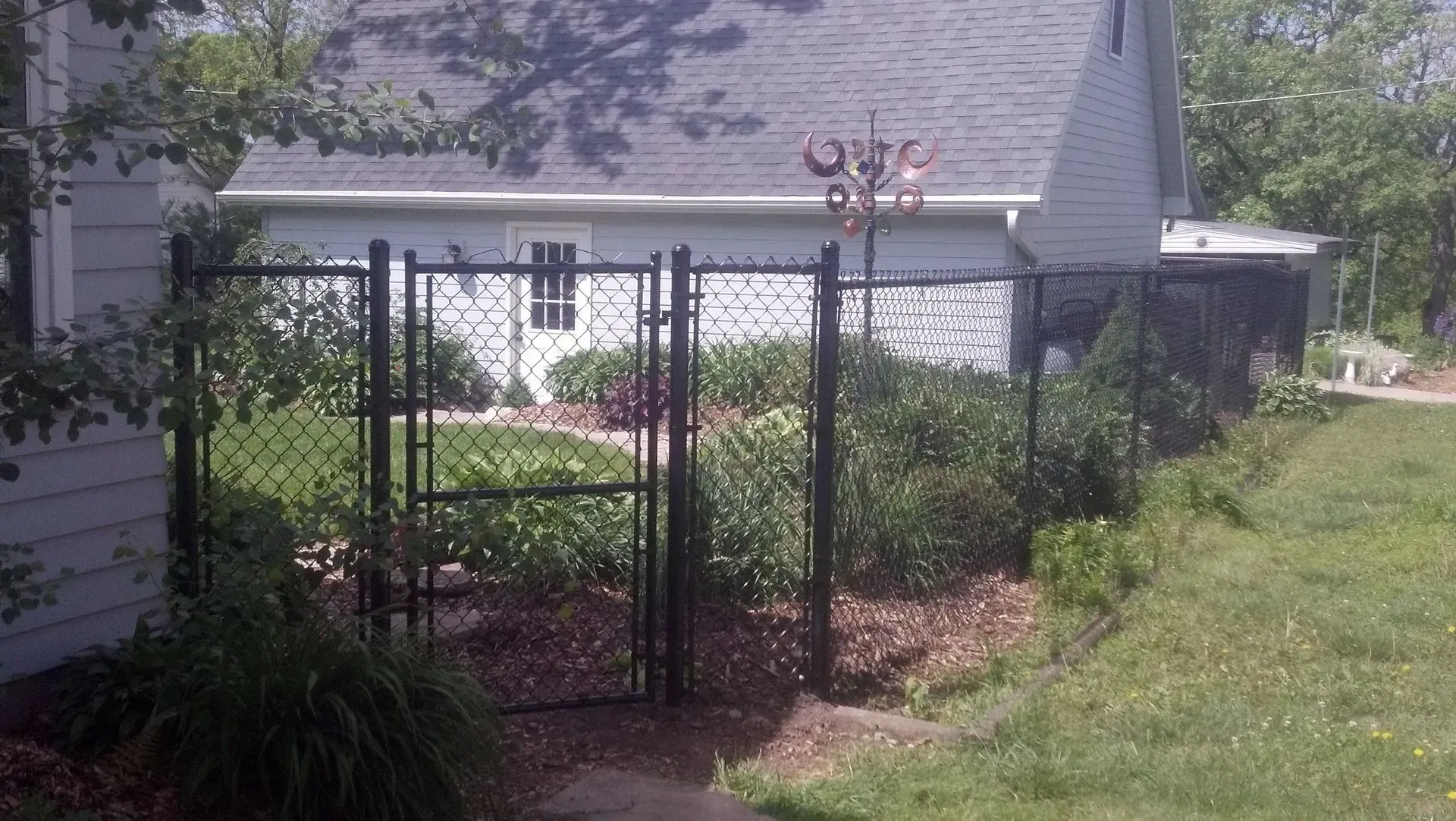 Black chain-link fence with gate surrounds a garden next to a house. Green plants and brown mulch fill the garden.