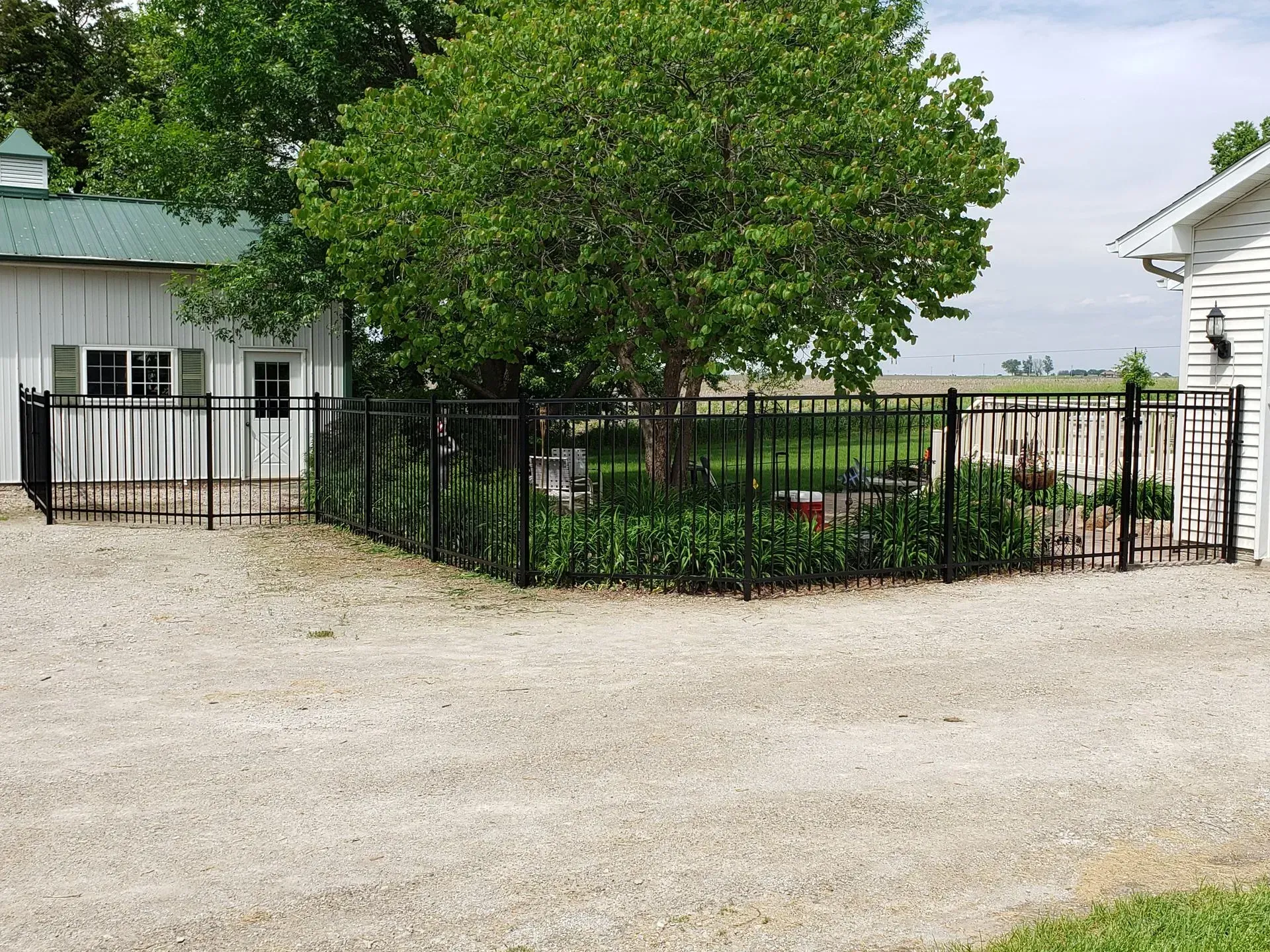 Black metal fence surrounds a tree and garden in a gravel driveway, with a white building on either side.