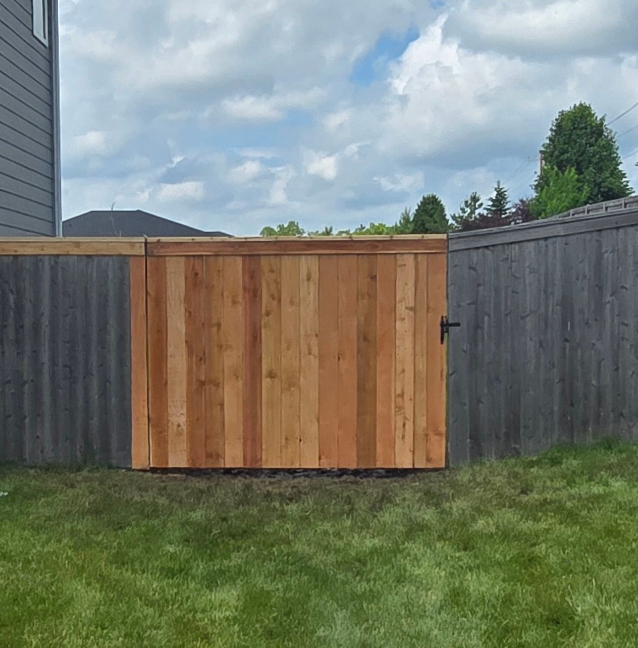 Wooden gate centered in a gray backyard fence under a cloudy sky, with green grass below.