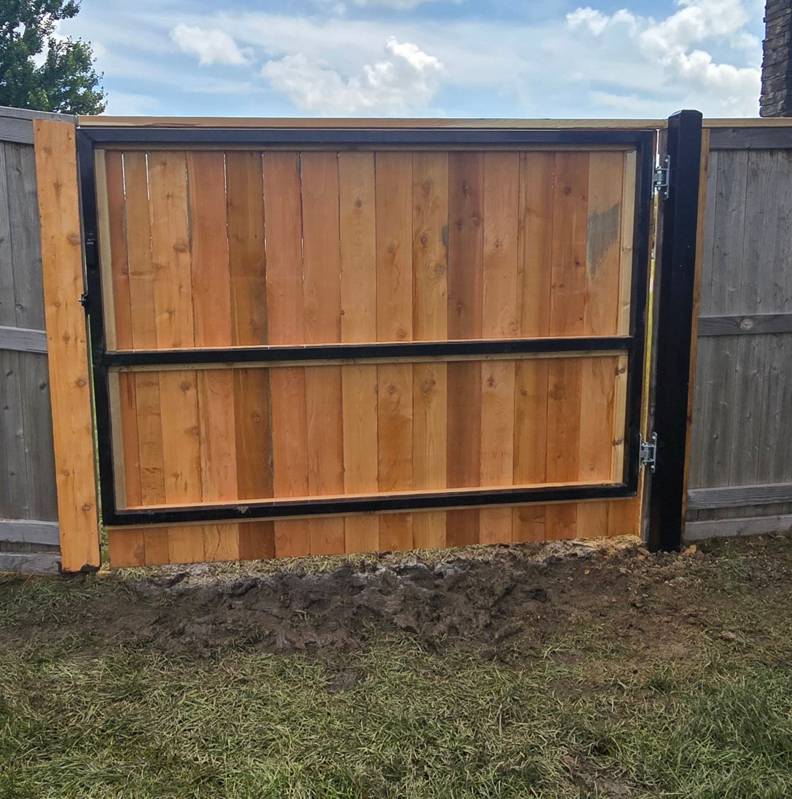 Wooden privacy fence gate with black metal framing beside a gray fence in a grassy yard.