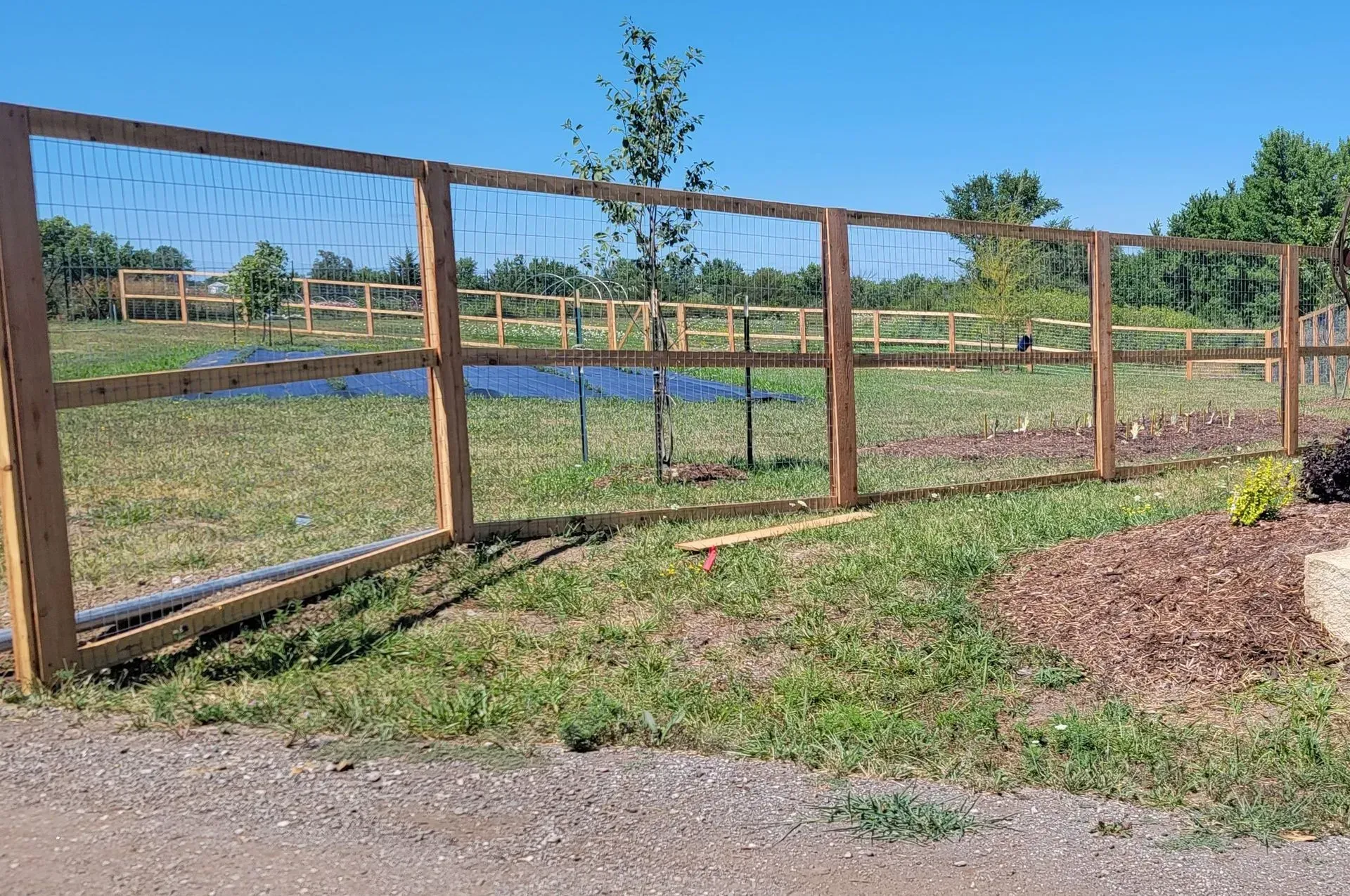 Wooden fence with wire mesh in a grassy yard under a bright sky.