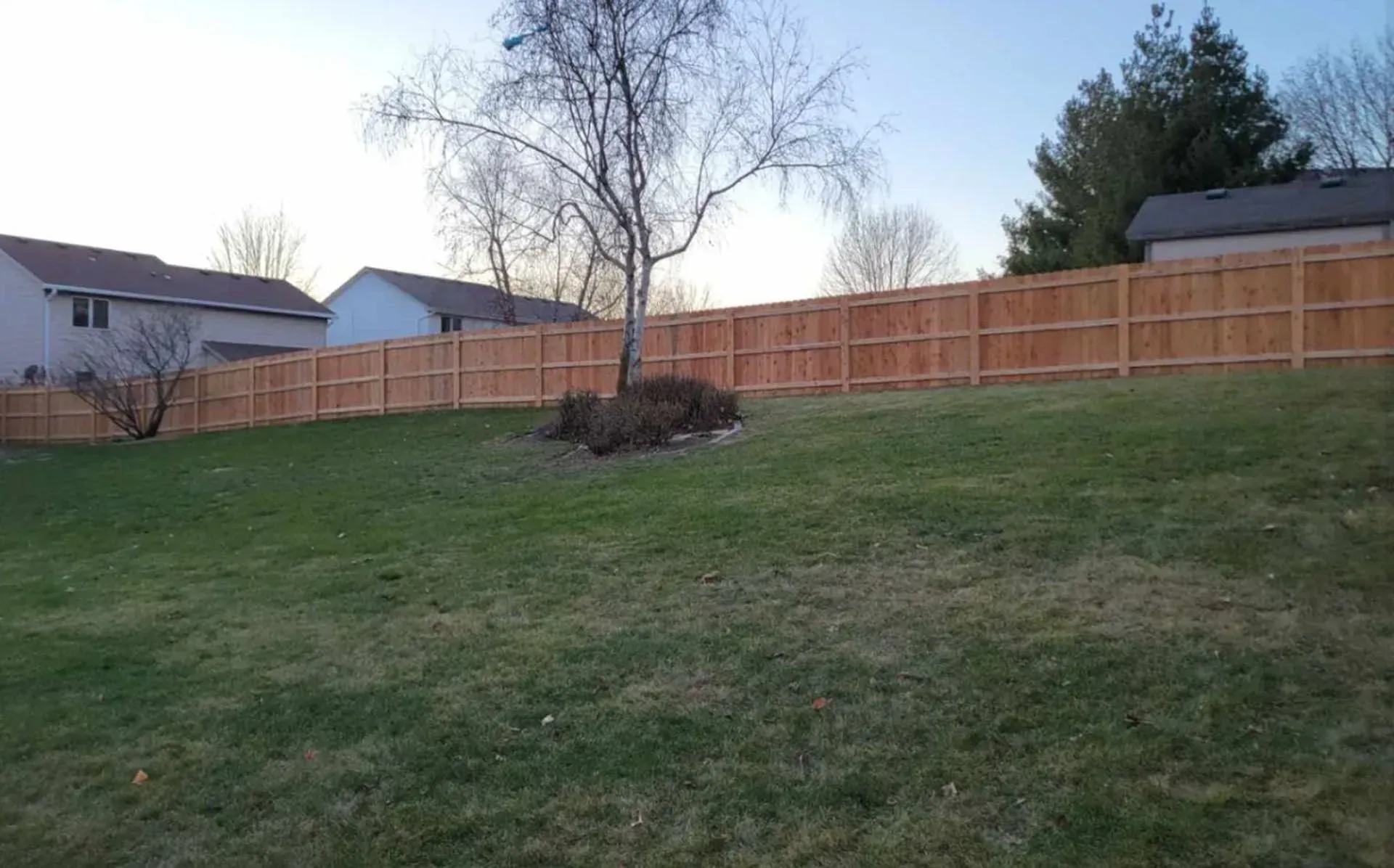 Wooden fence in a grassy backyard, trees and houses in the background on a slightly overcast day.