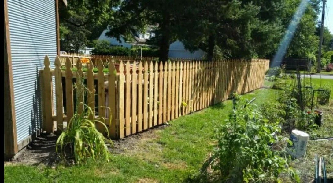 Wooden picket fence along a grassy yard, sunlight shining through.