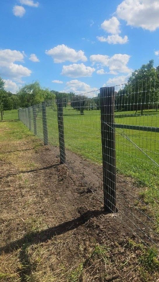 Black metal horse fence along a grassy path under a blue sky with clouds.