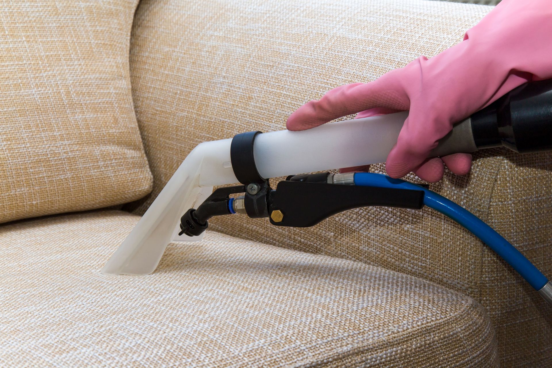 Why You Should Get Your Upholstery and Carpet Cleaned