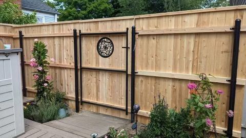 fence #18