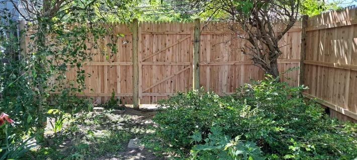 fence #10