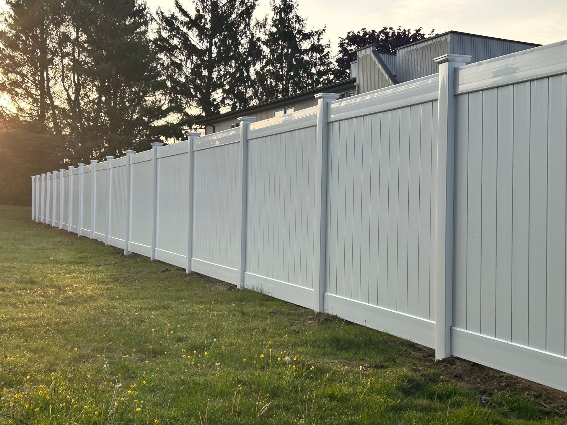 fence #3