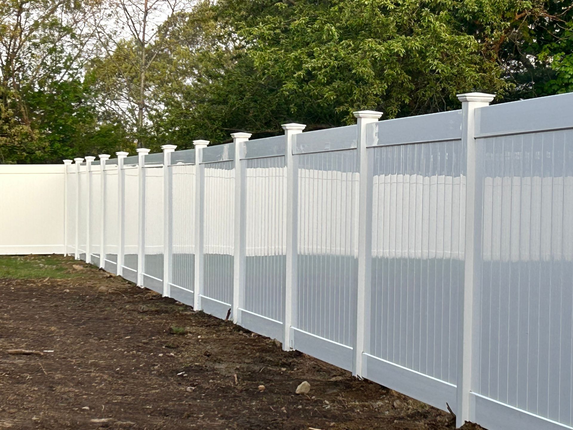 fence #4