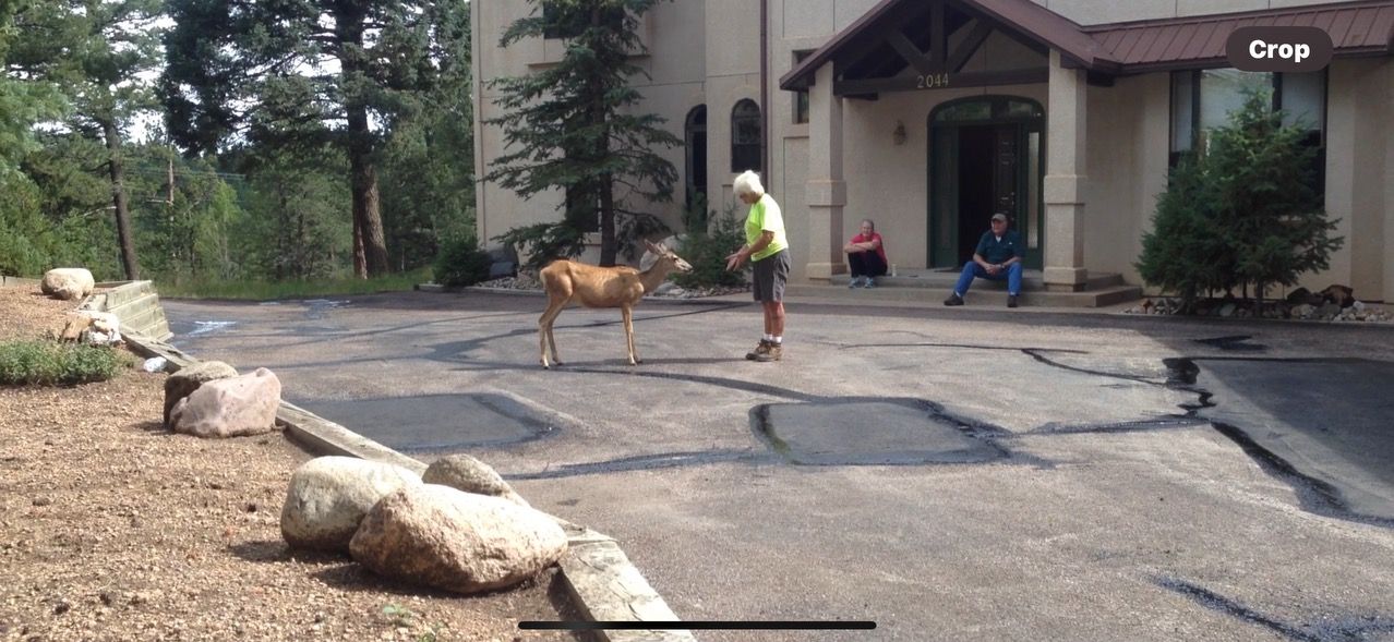 A man is standing next to a deer in front of a house.