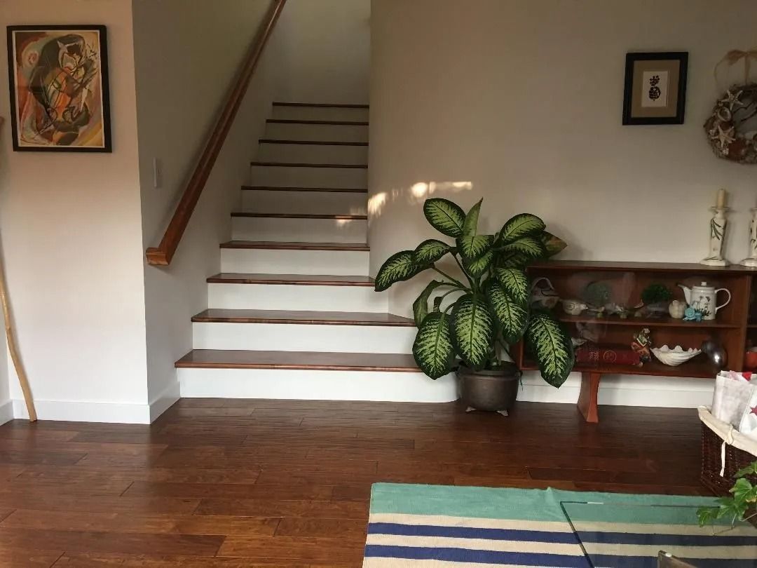 Wooden staircase and potted plant in a sunlit interior with artwork and a small shelf.