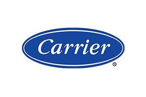 Carrier