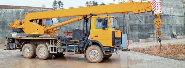 crane