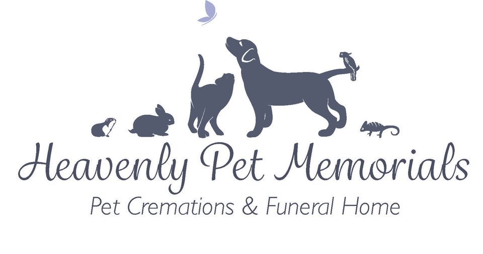 Pet Cremation Cost Near Me Cremation Animals Near Me Online