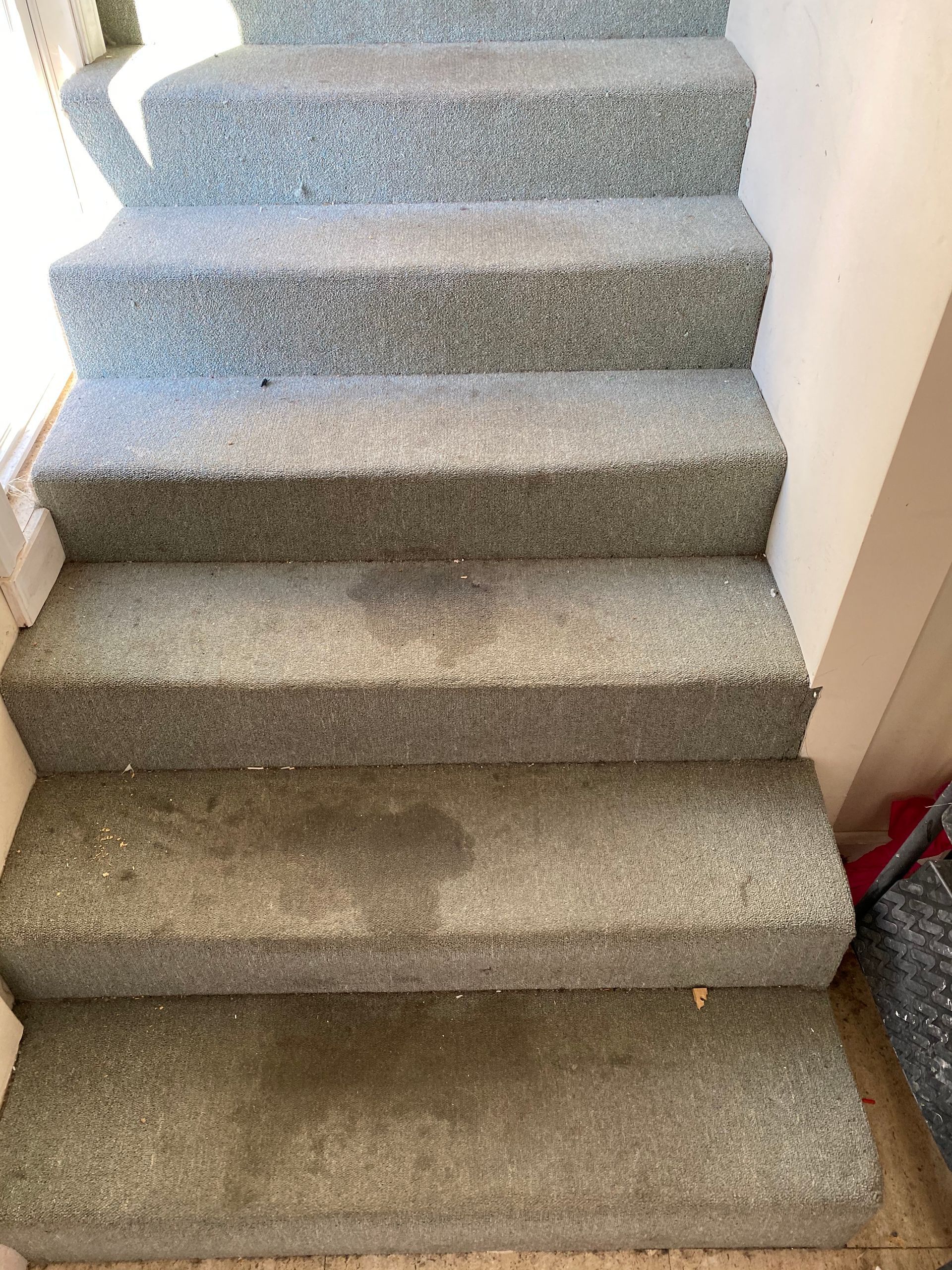 Carpeted staircase with dark stains on steps, likely in a home interior.