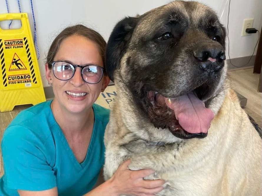 A woman is posing for a picture with a large dog.