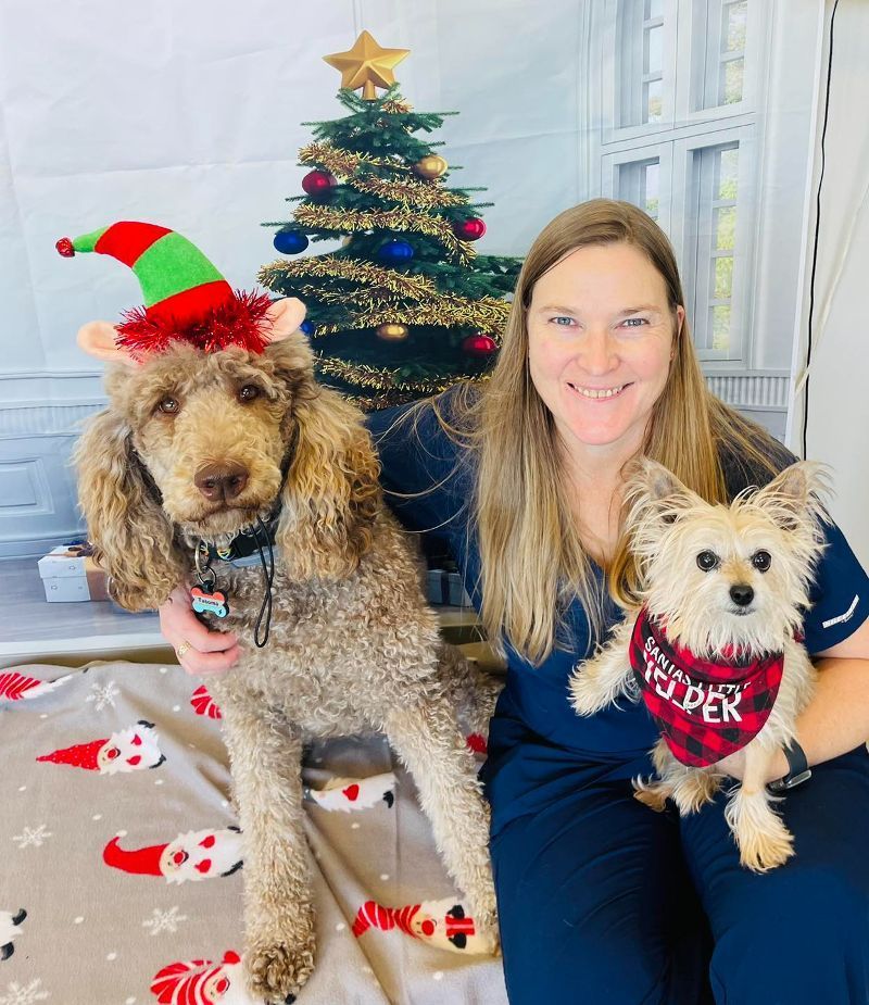 A woman is holding two dogs in front of a christmas tree.