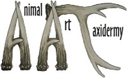 Animal Art Taxidermy Studios LLC - Logo