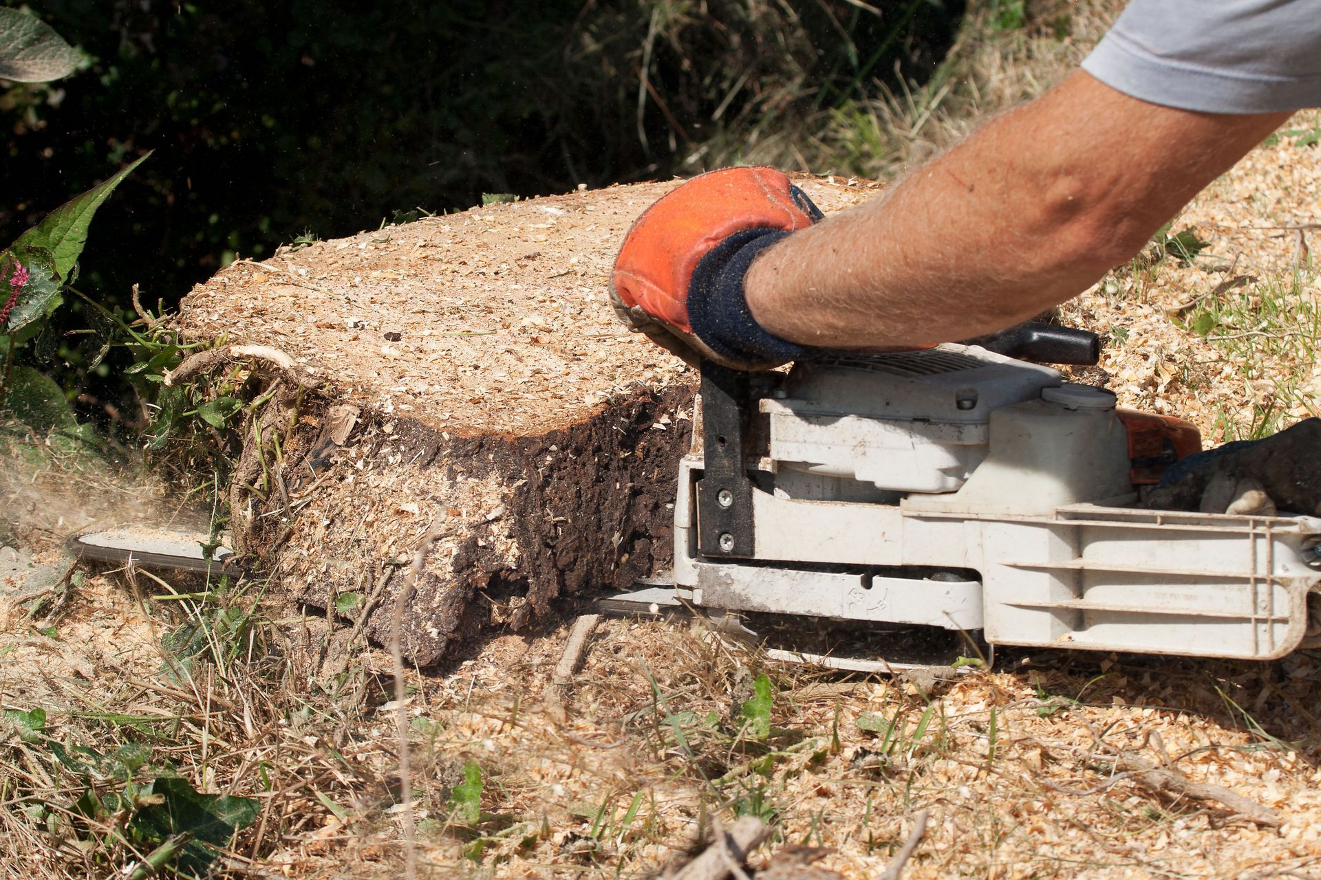 stump grinding service
