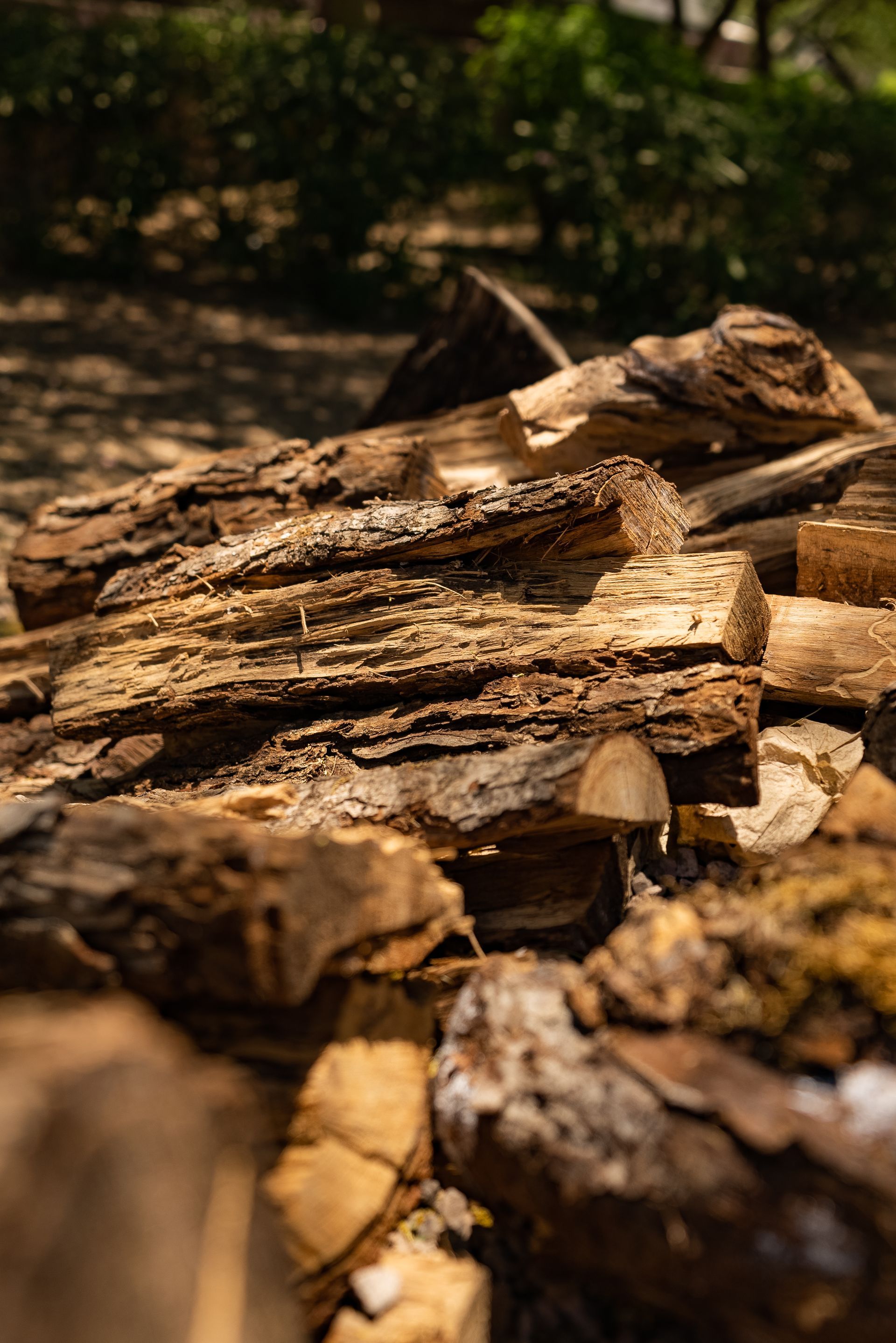 Pile of weathered firewood in sunlight.