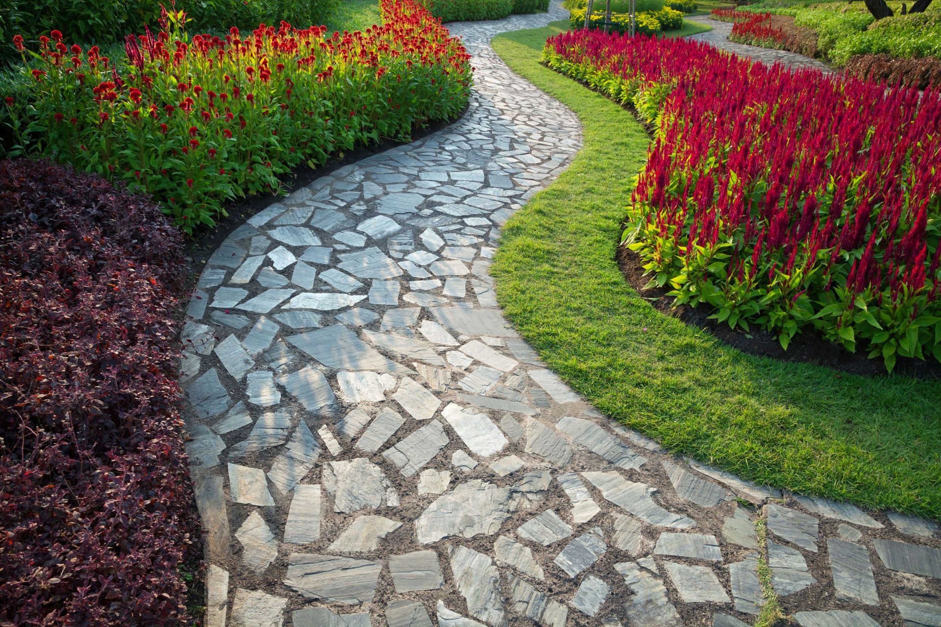 Stone pathway winds through flowerbeds with red and green plants.