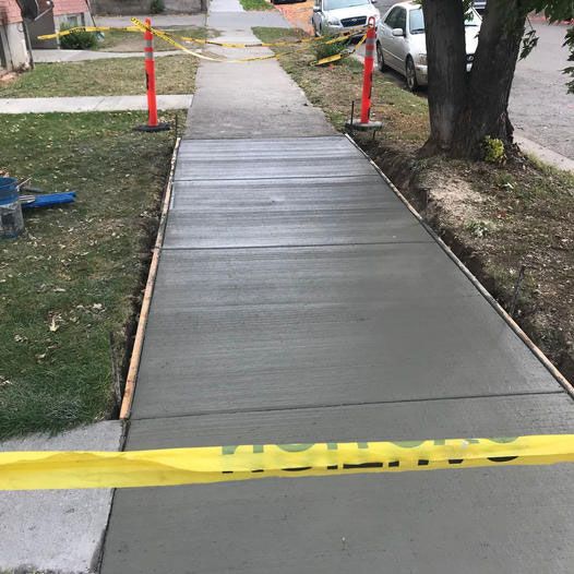 A concrete sidewalk is being built next to a tree.