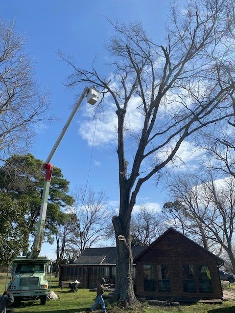 Bucket truck being used for a tree service