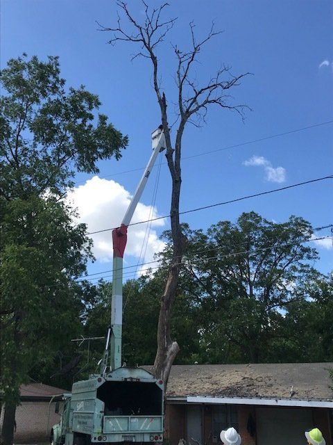 Bucket truck being used for a tree service