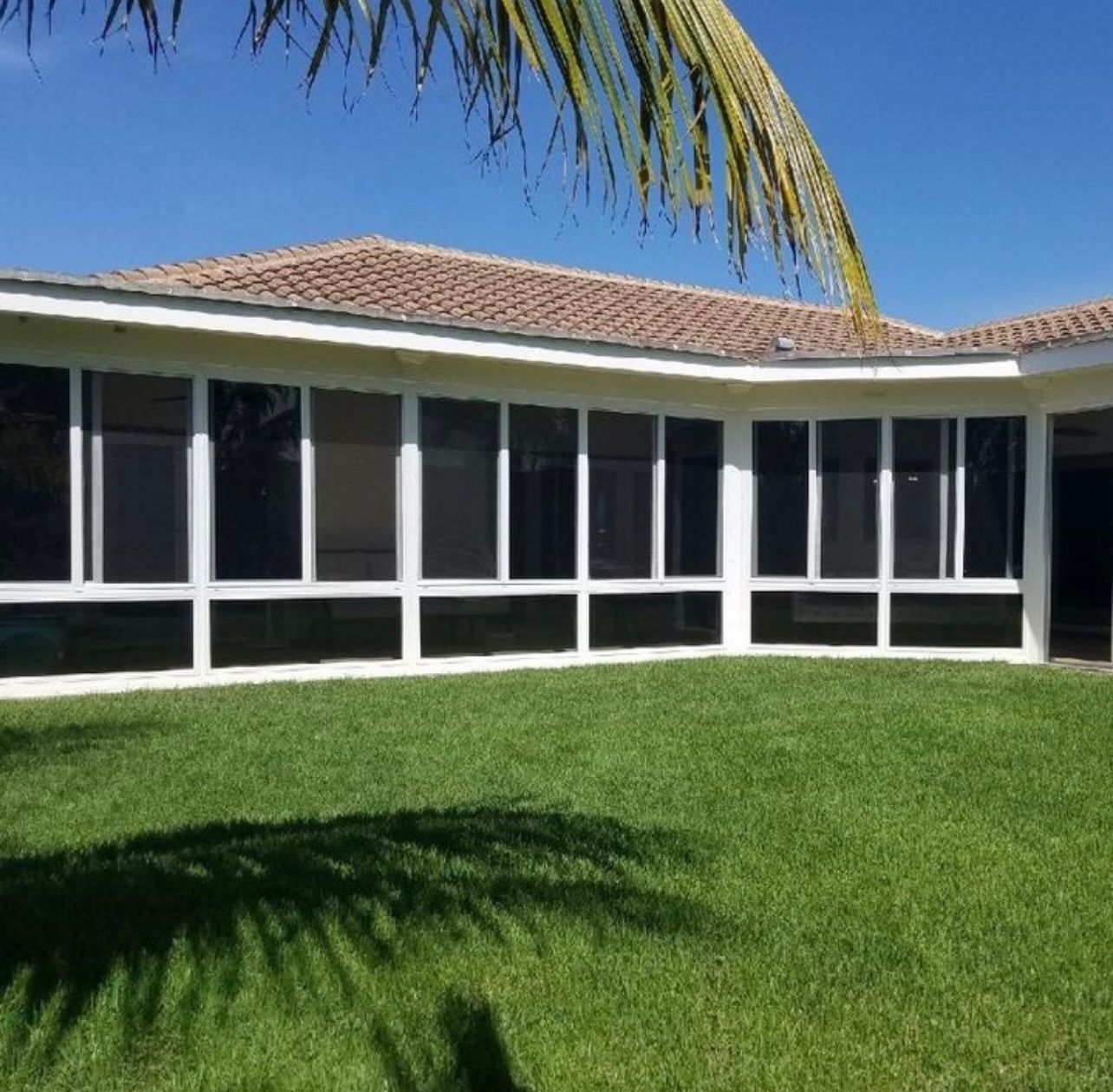 A house with a lot of windows and a palm tree in the background