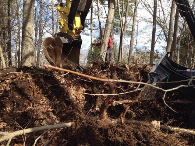 A yellow excavator is digging a hole in the woods
