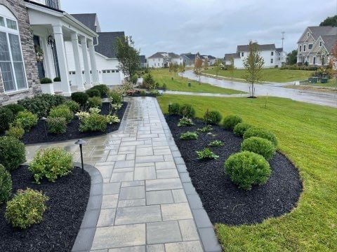 A walkway leading to a house in a residential area