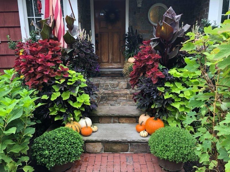 A front porch decorated for fall with pumpkins and plants