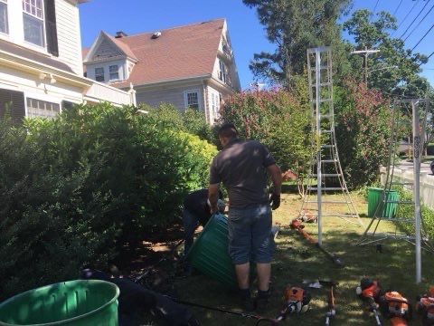 A man is standing in front of a house cutting a bush.