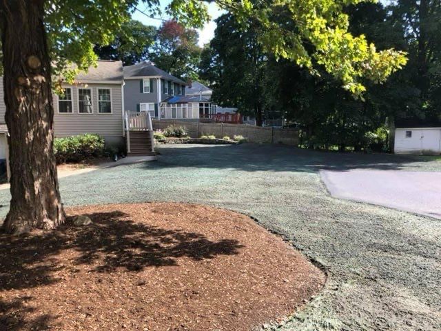 A tree is in the middle of a driveway next to a house.