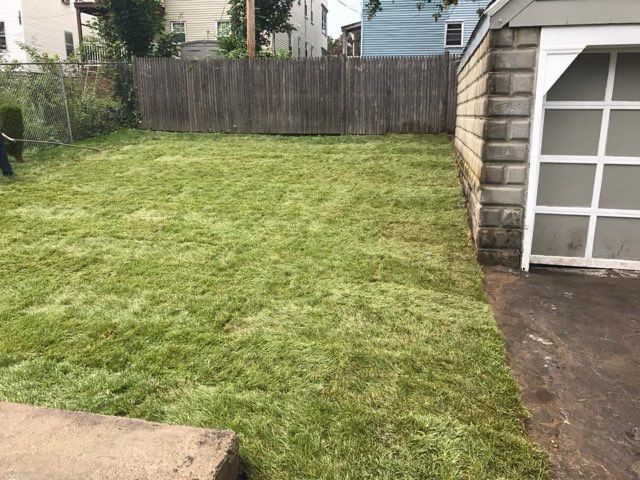 A backyard with a lush green lawn and a garage.