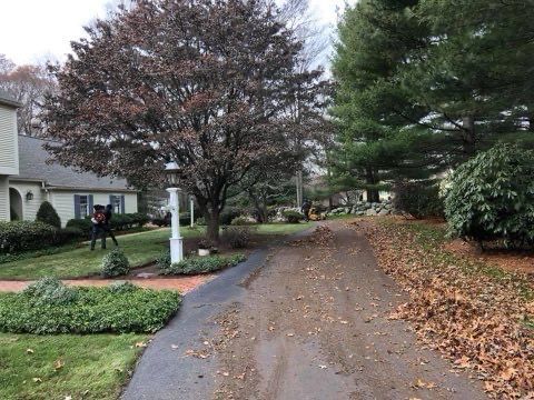 A dirt road leading to a house with a lot of leaves on the ground.